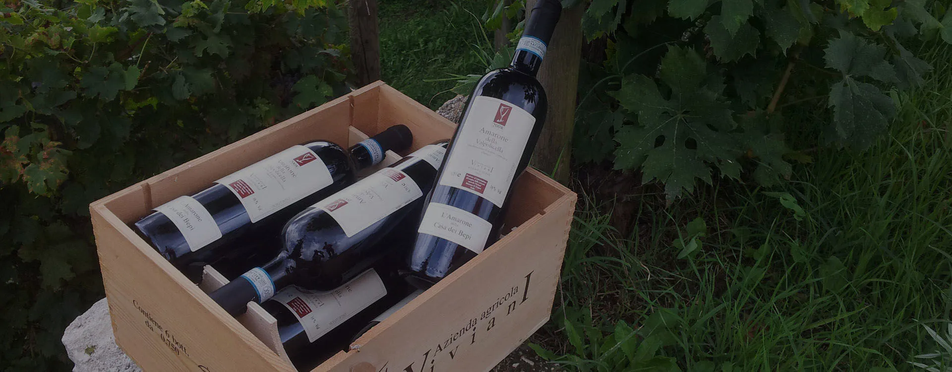 Il meglio della Valpolicella